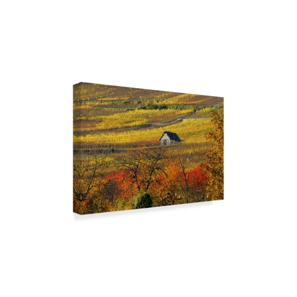 Philippe Sainte-Laudy 'The House Of Vines' Canvas Art,16x24